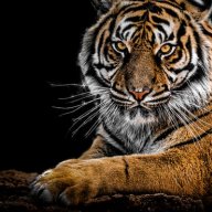 Seo Suleman63