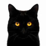 Blackclaw
