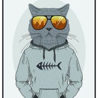 alex_kir