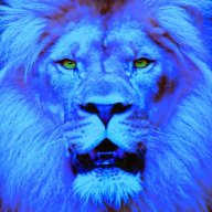 Bluelionxx