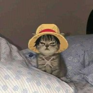 Ijarsho
