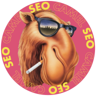 SeoCamel