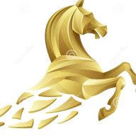 golden horse45