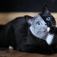 7078