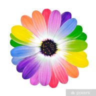 msunique