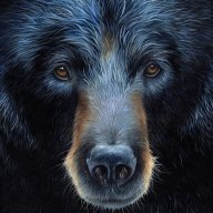 blackbear100288