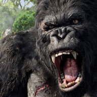 King-Kong-Seo