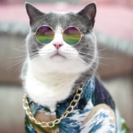 magikatt