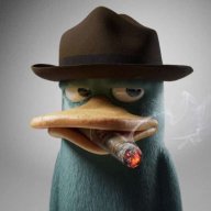 Samuellious