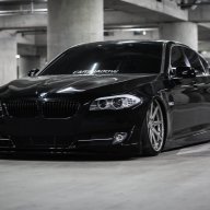 THE SHARK