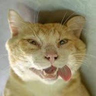 Ash French