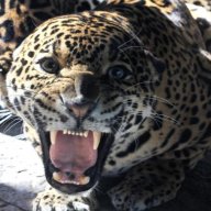 lalaji