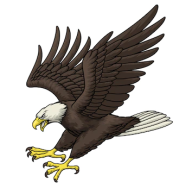 44eagle