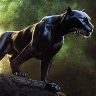 PantherR