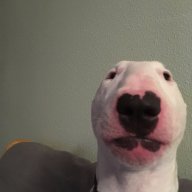 sp00kyx