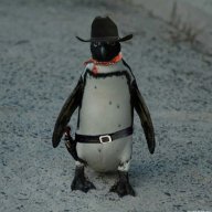kosenkooqm