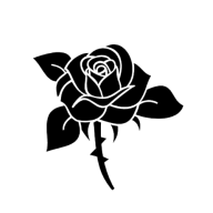 blackroseagency
