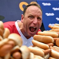 HotDog23