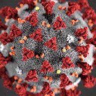 iamcoronavirus