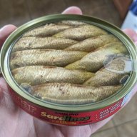 saradine