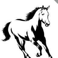 ArnDulett