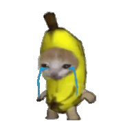 qqsuqa