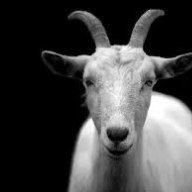 ominigoat