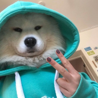 tapercommittee