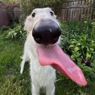 naturewizard69