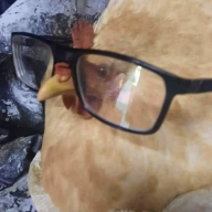 warpberrio