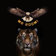 Mr. Roomi