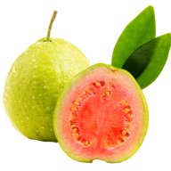 goiabo