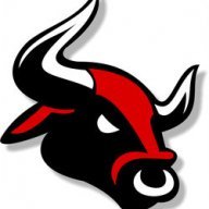 bulls