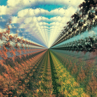 pulpfloyd