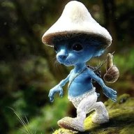 smurfcat