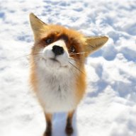 pushmanakxo