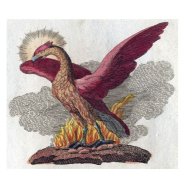 AtlasEagle