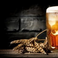 hunggari