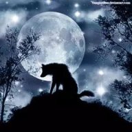 Wolfgangg