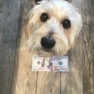 Lostlootie