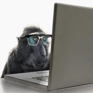 m0nkeyman