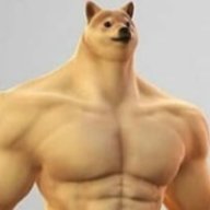 dogetheslayerofall