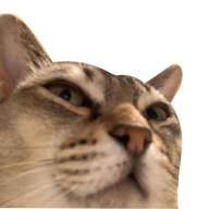 Archibald ad