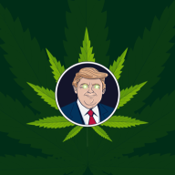 GreenTrumpGTSOL
