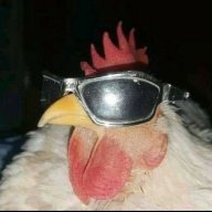 negraobruno