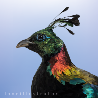 lonehustler