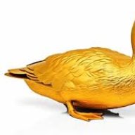 DuckyG