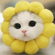 haley_8668