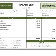 Pay_stubs_provider