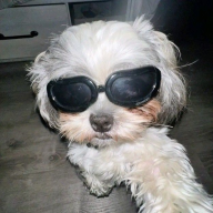 bobita